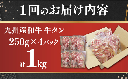 【6回定期便】【塩だれ】九州産和牛の牛タン 約1kg（約250g×4パック）国産 牛 タン たん 和牛＜岩永ホルモン＞ [EAX082] / タン 牛たん 牛タン 薄切り タン 牛たん 牛タン 味付き