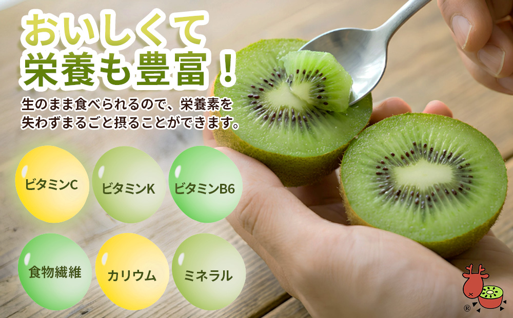 ＜12月以降順次発送＞プレミアム キウイ フルーツ 3L サイズ
