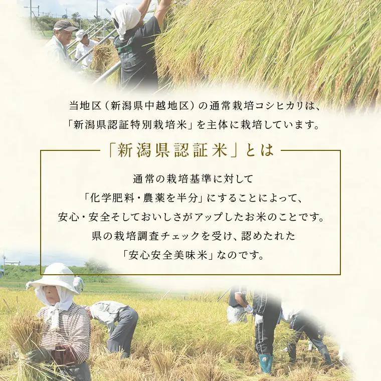 米 令和7年産 特別栽培米 新潟県産コシヒカリ（玄米）5kg