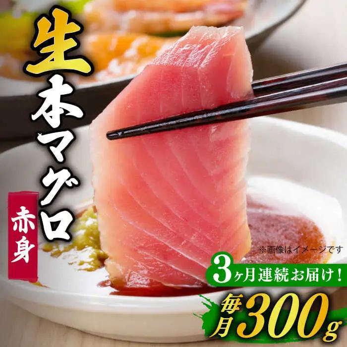 【全3回定期便】五島列島産養殖生本かみマグロ 赤身 300g [RBP023] 本マグロ 本まぐろ 本鮪 本マグロ 本まぐろ 本鮪 本マグロ 本まぐろ 本鮪 本マグロ 本まぐろ 本鮪九州 長崎