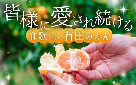 ＼光センサー選別／極 有田みかんプレミアム 10kg【選りすぐりの上位20％をお届け】2S～Lサイズ 有機質肥料100% ※※2026年11月～2027年1月に順次発送予定 ※北海道・沖縄・離島への配