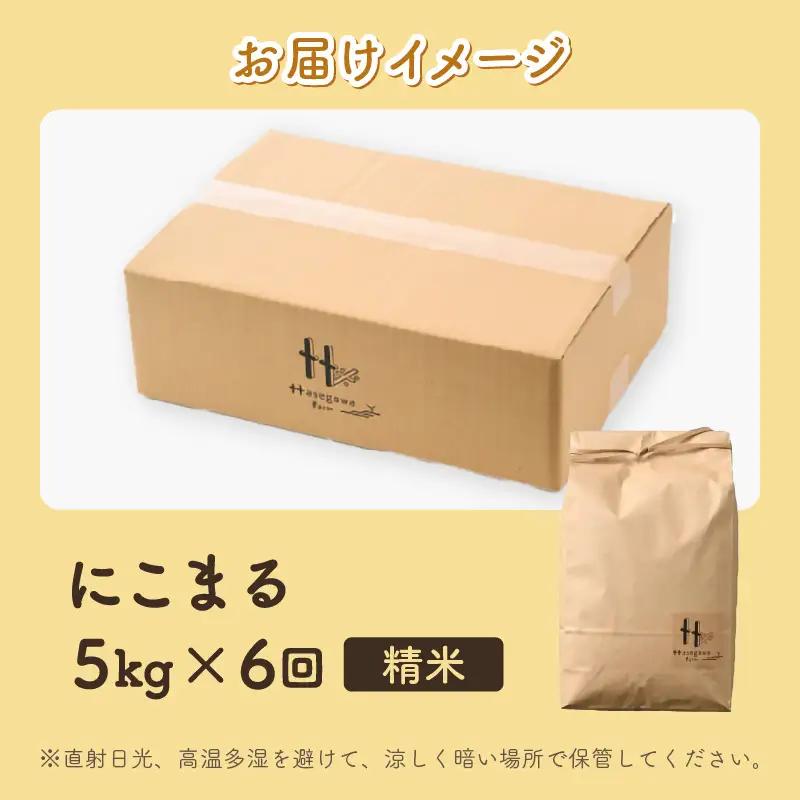 【先行予約】【令和8年産】定期便《6ヶ月連続お届け》精米 にこまる 5kg（計30kg）＜低農薬栽培＞ ／ 高品質 鮮度抜群 福井県 あわら市産 ブランド米 白米 お米 米 ※2026年10月中旬より