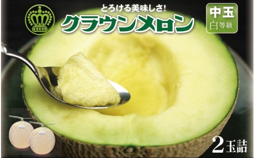 ＜一年中食べられる!＞クラウンメロン (白等級) 中玉 2玉 静岡県産 高級 マスクメロン 【1104742】