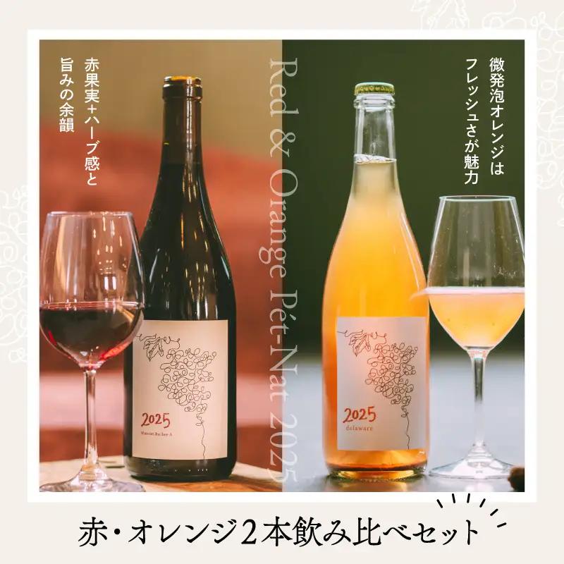ワイン 2025 赤オレンジ 2本飲み比べセット 各750ml ワイン ka019-316j-2025