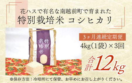 【3ヶ月連続お届け】令和5年度産 特別栽培米 コシヒカリ 4kg×3ヶ月（計12kg）[C-012001]