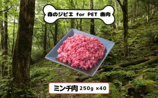 C 森のジビエ for PET 鹿肉　ミンチ肉　10kg A-JK-A26A