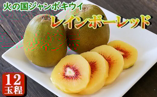 火の国ジャンボキウイ《レインボーレッド》 12玉【大玉・完熟】 上品な甘さと濃厚な味わい