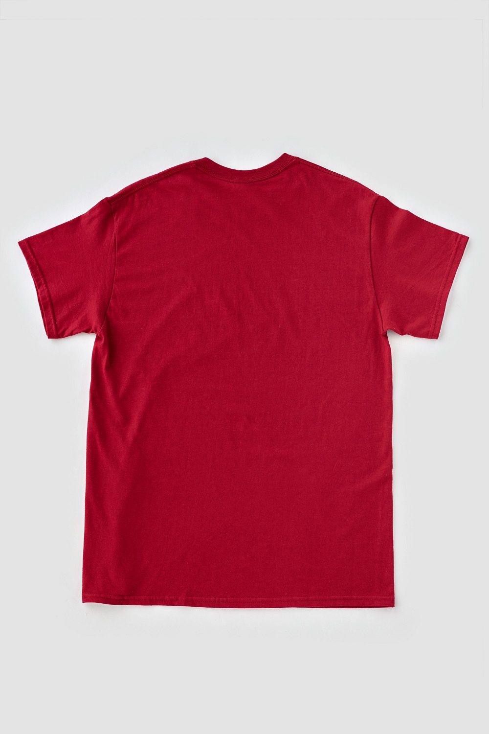 池田の伝統行事「田楽能舞」Tシャツ　【赤色　LLサイズ】