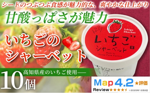いちご シャーベット 100ml×10個 アイスクリーム シャーベットアイス 人気 完熟 苺 イチゴ いちごアイス  果物 フルーツ 濃厚 お菓子 洋菓子  スイーツ デザート デザートカップ デザートアイス キャンデー カップアイス ジェラート 手作り ホームパーティー バラエティ お取り寄せ おもてなし 詰め合わせ 贈り物 贈答 冷凍 ギフト プレゼント ロングセラー リピート 安芸市 高知県