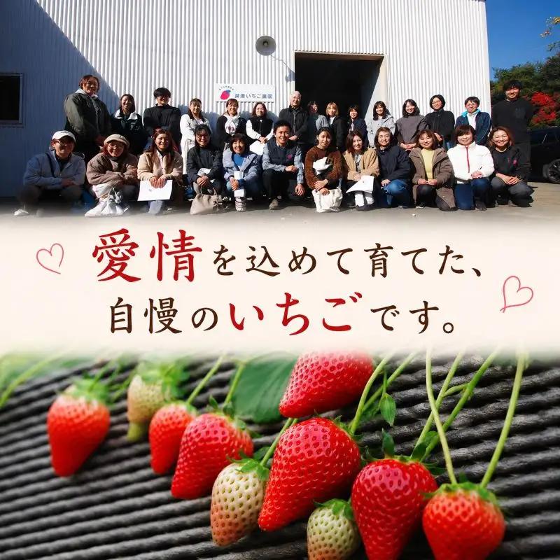 訳あり 粒不揃い とちあいか 1,120g (280g×4P) | 栃木県共通返礼品 矢板市産 いちご 果物 フルーツ 栃木県下野市