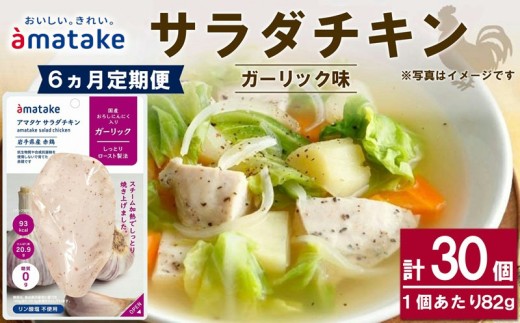 サラダチキン ガーリック味 5個 【6回(6ヶ月定期便)】