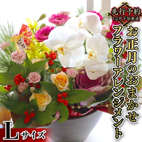 【 お正月 の お花 】 お花 おまかせ ＊ フラワー アレンジメント L お正月 花 生花 縁起物 フラワーアレンジメント ギフト [CT053ci]