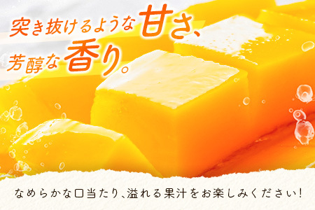 数量限定 宮崎県産 完熟マンゴー＜太陽のタマゴ＞4L×2玉 計1kg以上 ※2026年4月下旬配送開始 化粧箱入 フルーツ くだもの【E169-26】