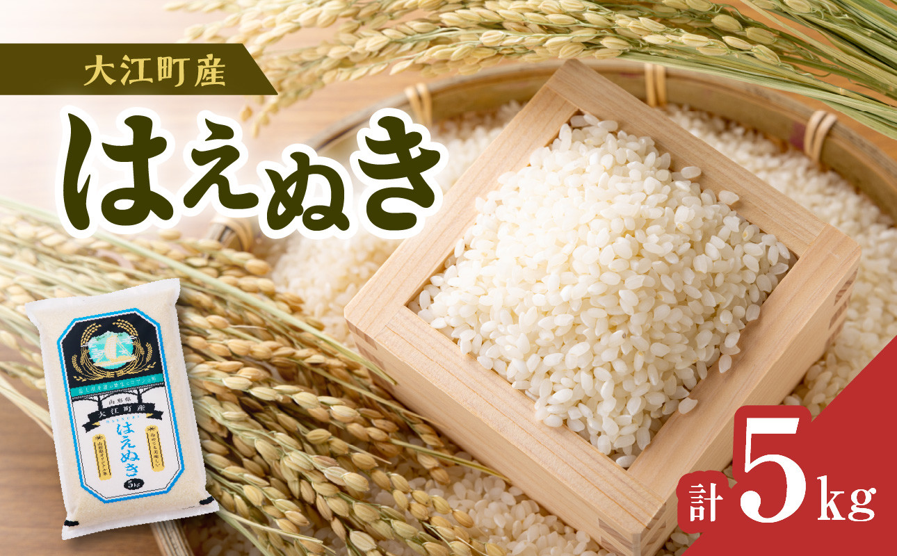 
            【令和6年産米】新米 大江町産 はえぬき 5kg【山形県産】【2024年産米】 【001-097】
          