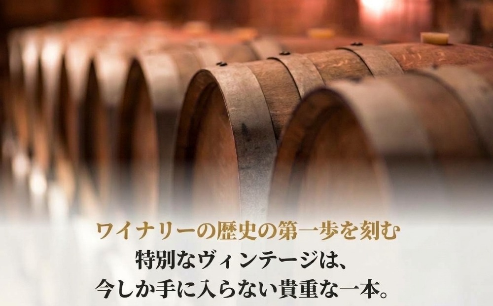 赤ワイン 2本セット（750ml×2本）【数量限定】アーロムワイナリー 初醸造記念 ピノ・ノワール ツバイゲルト