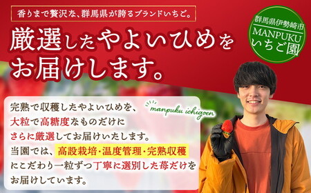 厳選 やよいひめ　プレミアムギフトBOX　1箱 ｜ いちご 大粒 高糖度 果物 フルーツ 苺 イチゴ くだもの 新鮮 朝採れ 朝どれ ギフト プレゼント 贈り物 国産 群馬県 伊勢崎市 ※北海道・沖縄