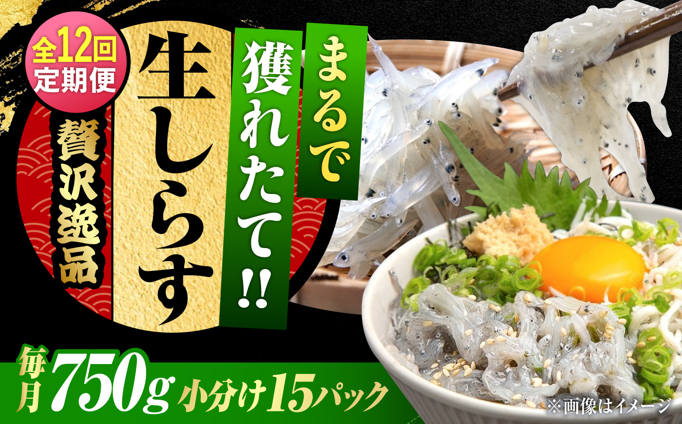 【全12回定期便】しらす 冷凍 シラス 小分け 干し 生しらすのプリッした食感と塩味が抜群！生しらす50g×15個 冷凍 シラス 鮮魚 ギフト 海鮮丼 広島県産 江田島市/三島水産株式会社 [XCN0