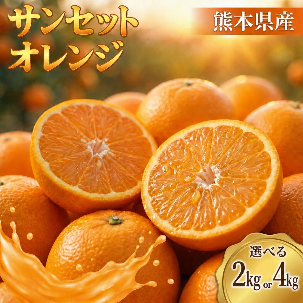 【ふるさと納税】【選べる容量】熊本県産 EC12 イーシージュウニ サンセットオレンジ 約2～4キロ おれんじ 柑橘 果物 フルーツ 九州 熊本県 送料無料【2027年1月下旬発送開始】