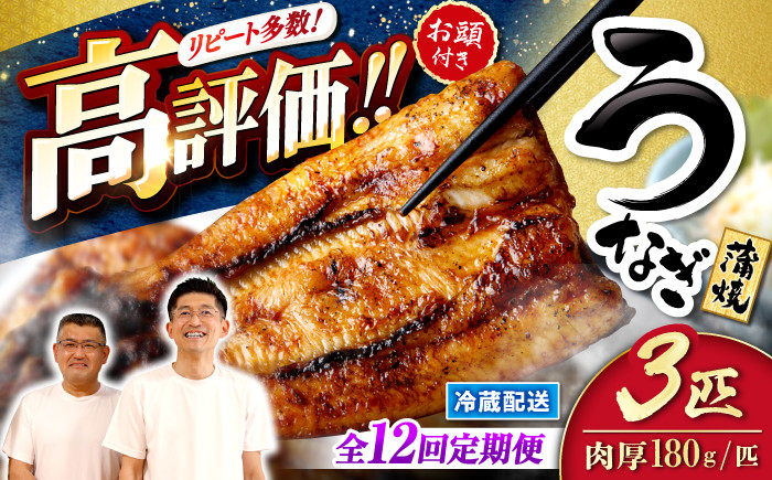 
            【月1回3尾×12回定期便）】秘伝のタレで仕上げた国産うなぎの蒲焼＜入口屋＞ [CCA010] 長崎 西海 うなぎ 鰻 ウナギ 鰻の蒲焼 冷蔵 うなぎ 国産 お取り寄せ鰻 うなぎ 土用の丑の日 お中元
          