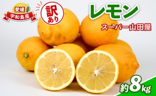 訳あり レモン 約 8kg スーパー山田屋 わけあり れもん 檸檬 レモン果汁 酸味 爽やか 果実 サワー ジュース チューハイ remon 果物 くだもの ビタミン フルーツ 柑橘 産地直送 数量限定 国産 愛媛 宇和島 B016-198012