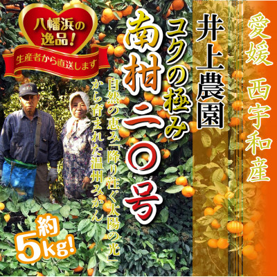 
            M、Sでお届け・濃厚な味わい! 井上農園「南柑20号」約5kg ＜C39-12＞_ みかん ミカン 柑橘 温州 果物 くだもの フルーツ 旬 愛媛 コク 甘み 国産 産直 産地直送 S M 5kg 食べやすい サイズ限定 【1245424】
          