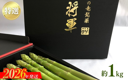 No.2152【特選】陸奥産の竜髭菜（アスパラガス）"将軍" 約1kg