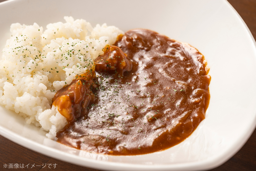  4種のウチワエビづくし  [ひらど新鮮市場 長崎県 平戸市 hr42bgy400030] うちわえび カレー ラーメン えびせん 塩 詰め合わせ エビ えび 海老 焼き塩 焼塩 お菓子