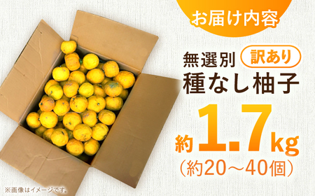 【訳あり】【先行予約】【11月中旬から12月中旬に順次発送】 種なし柚子 約1.7kg（約20個から40個）ゆず 種無し ユズ 訳あり 家庭用 柚子 種なし 三次市/小さなくだもの畑[APAQ003]