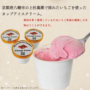 いちご農家のひんやりアイス カップアイス 12カップ いちご 苺 イチゴ いちごアイスクリーム アイス アイスクリーム カップアイス 冷たい ひんやり セット 人気 おすすめ ふるさと納税 京都 八幡