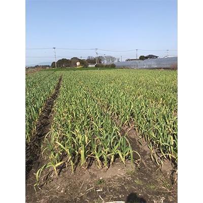 ふるさと納税 朝倉市 朝倉産にんにく使用【老舗居酒屋】熟成にんにく醤油4本セット |  | 02
