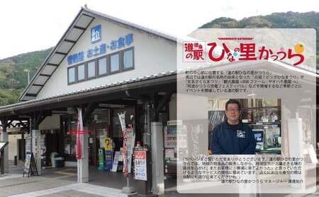 みかん ストレート ジュース 720ml 6本 みかんジュース 徳島 勝浦 ドリームチーム