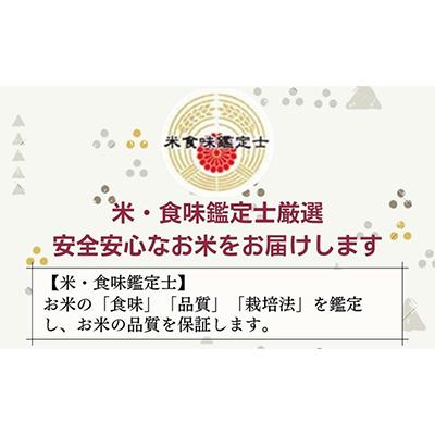 ふるさと納税 亀岡市 【令和5年産】京都丹波産 こしひかり 5kg ※精米したてをお届け |  | 01