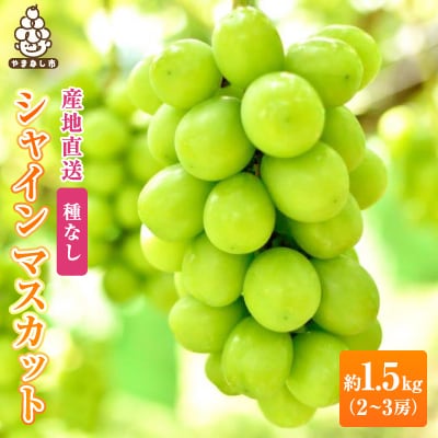 2026年先行販売　銀河農園まきおかのシャインマスカット(種なし)約1.5kg(2～3房)【配送不可地域：離島】