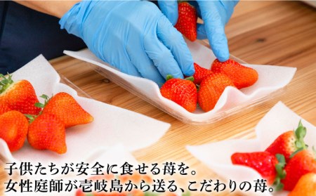 【先行予約】【全3回定期便】イチゴ1kg 食べ比べ 「ゆめ恋セット（ゆめのか・恋みのり ）」（250g×4パック）【2026年2月以降順次発送】《壱岐市》【蒼花】 [JEO003] いちご イチゴ 苺