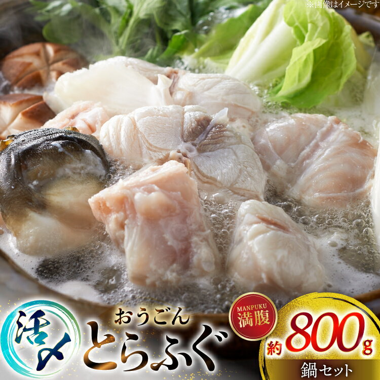 【ふるさと納税】 ふぐ 鍋 セット 活〆 おうごんとらふぐ 満腹 鍋セット 約800g [松永水産 長崎県 平戸市 hr42bvj550044] とらふぐ フグ 河豚 てっちり ふぐちり ふぐ料理 魚介 さかな 切り身 冷凍 海鮮 ふぐ鍋 唐揚げ ポン酢