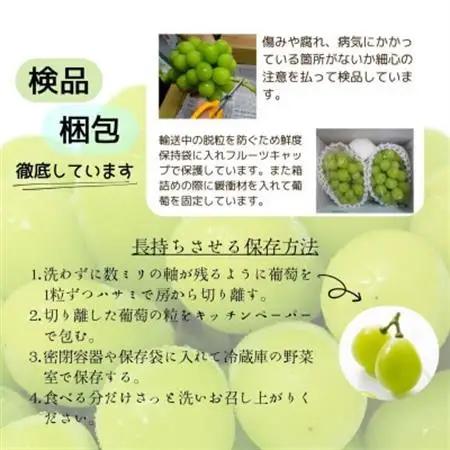 【2026年発送 】シャインマスカット 2~3房 1.1kg以上 山梨産_甘いシャインマスカット あまいシャインマスカット 美味しいシャインマスカット おいしいシャインマスカット 人気のシャインマスカ