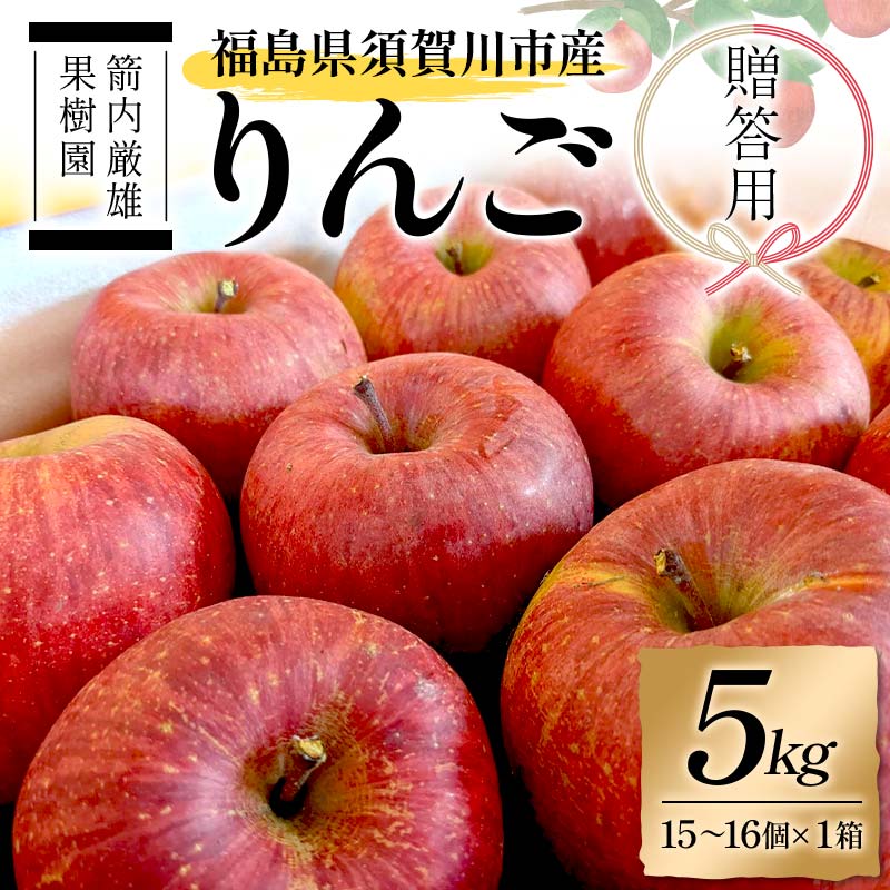 【ふるさと納税】須賀川市産 リンゴ 贈答用 5kg（15～16個）＜箭内厳雄果樹園＞ りんご リンゴ 林檎 デザート フルーツ 果物 くだもの F7X-0289
