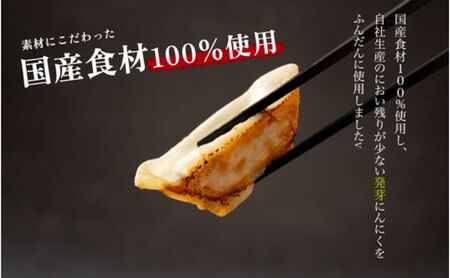 発芽にんにく餃子30個入り3パック　餃子 にんにく にんにくたっぷり 国産にんにく 発芽にんにく 冷凍 臭わない 栄養価抜群 スタミナ 免疫アップ おつまみ おかず 総菜 餃子専門店 ぎょうざ 工場直