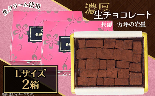 02-26080001-17 生チョコレート Lサイズ 2箱「長瀞一万坪の岩畳」約189g