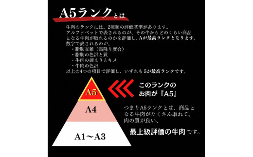 京都府産 黒毛和牛 ロース スライス 500g A4・A5 + ピリ辛ぽん酢 セット【緊急支援】京の肉 ひら山厳選《訳あり コロナ支援 和牛 牛肉 熟成》