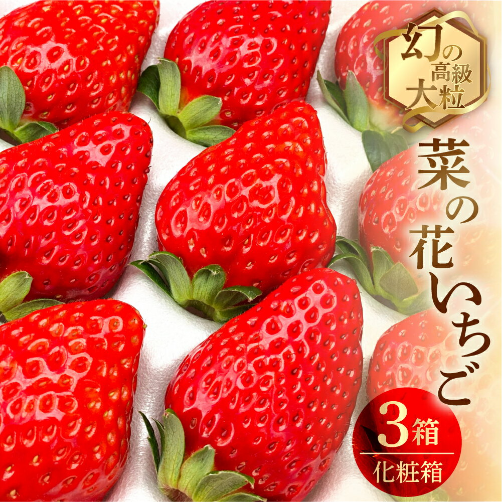 【ふるさと納税】先行予約 菜の花いちご　3箱(8粒〜12粒入) 大粒 イチゴ いちご 激甘 苺 激甘 果物 くだもの フルーツ 贅沢品 贈答品 高級品 ブランド 先行受付 お取り寄せ 田原市 産地直送 送料無料 事前予約 品種お任せ あきひめ 紅ほっぺ さがほのか