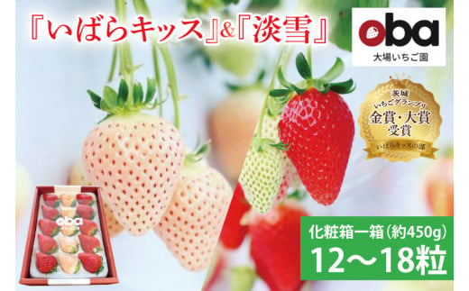 【12月中旬より順次発送】【数量限定】茨城県オリジナル品種『いばらキッス』と希少なプレミアム白イチゴ『淡雪』紅白化粧箱一箱（12粒～18粒）【いちご 苺 フルーツ 果物 くだもの 水戸市 茨城県】（D