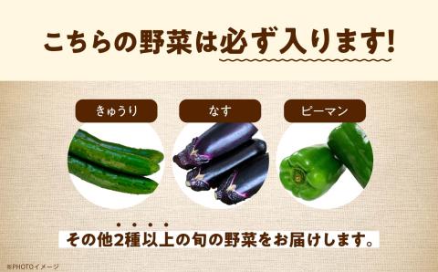 《2025年7月より順次発送》季節の有機野菜「夏セット」【一般社団法人二本松有機農業研究会】