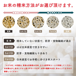 【定期便6回】【一等米 選べる精米方法：五分つき】令和7年産 秋田県産 あきたこまち5kg×6か月【こまちライン】