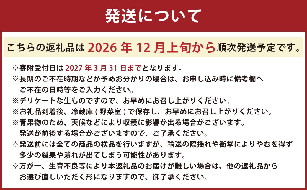にべさんちの苺 熊本県産イチゴかおり野 約520g