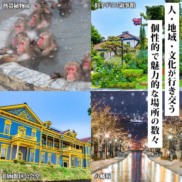 【北海道ツアー】北海道 函館市 旅行クーポン 300,000円分_HD233-004