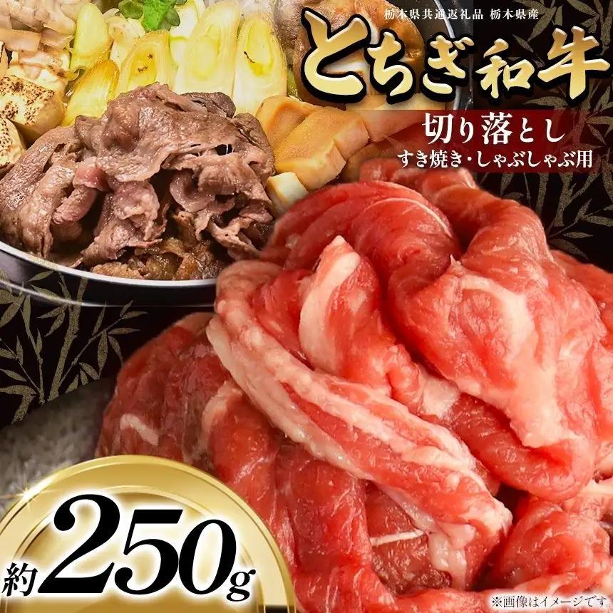 最高位賞を受賞！最高級ブランドの柔らかく風味豊かなとちぎ和牛切り落とし 250g（すき焼き・しゃぶしゃぶ用） | 霜降り 和牛 切り落とし とろける 品質 柔らかく 銘柄牛 安心 安全 美味しい おいしい 芸術品 特産品 ふるさと 納税 栃木県共通返礼品 栃木県 那珂川町 送料無料