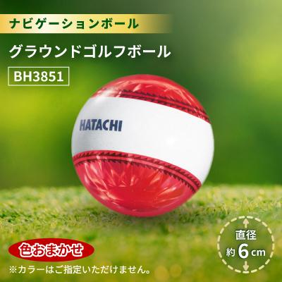 ふるさと納税 湖西市 ナビゲーションボール グラウンドゴルフボール BH3851