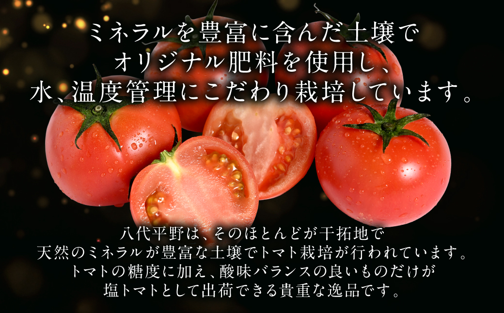 【先行予約】 Red i ～紅～ 1kg トマト とまと 野菜 やさい 旬の野菜 新鮮な野菜 地元産野菜 ご当地 国産 特産品 お取り寄せ 家庭用 食卓 【2026年1月中旬より順次発送】