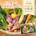 【ふるさと納税】季節の旬野菜 10品 おまかせセット（農薬・化学肥料不使用） A-229